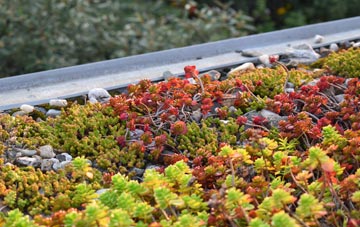 the cost of Caulside green roof installation