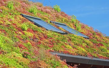Caulside living roof systems