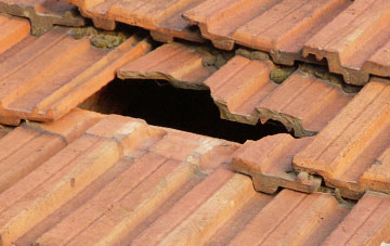 roof repair Caulside, Dumfries And Galloway